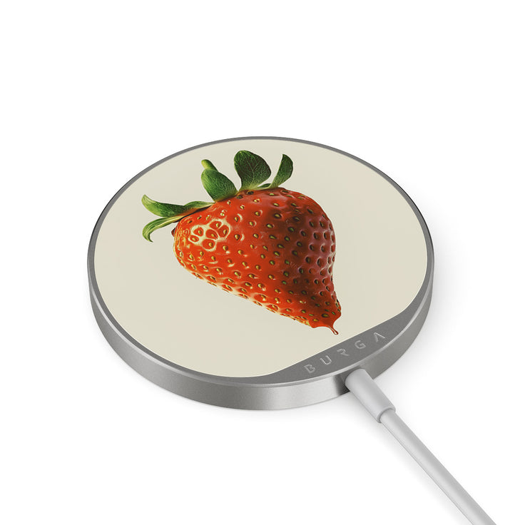 BP_05MC_MAGNETIC_WRLS_CHRG-SILVER