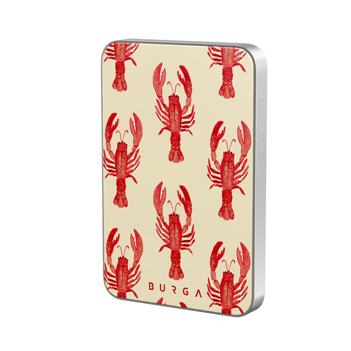 CM_18MS_MagPbank5K-SI