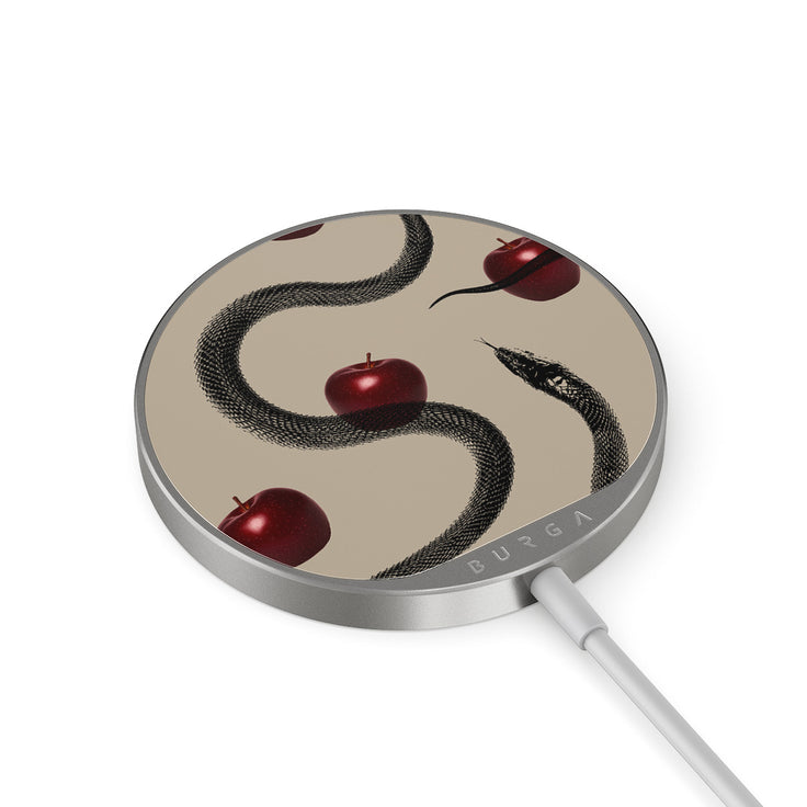 DE_10MC_MAGNETIC_WRLS_CHRG-SILVER