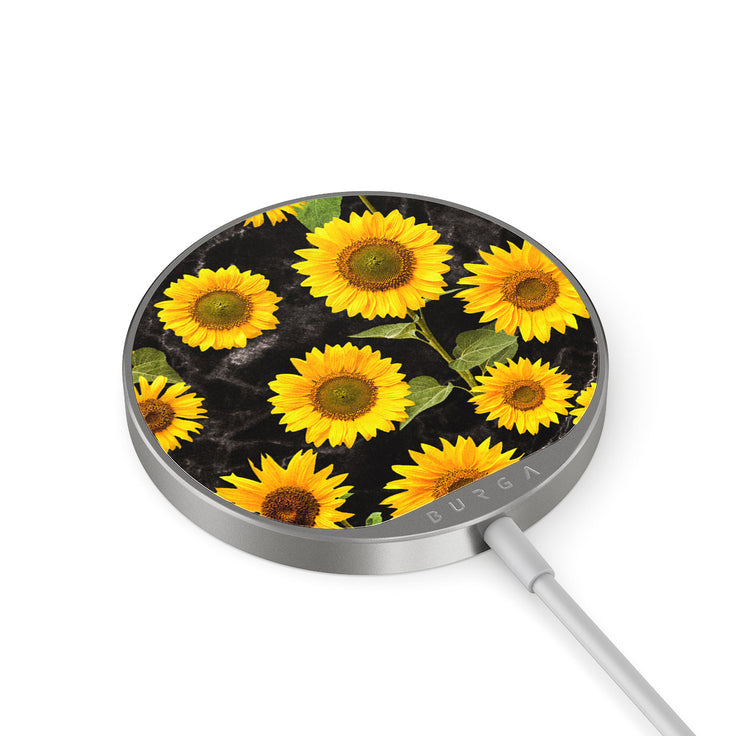 FA_29MC_MAGNETIC_WRLS_CHRG-SILVER