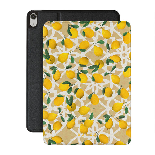 LL_01IP_iPAD_AIR_10.9