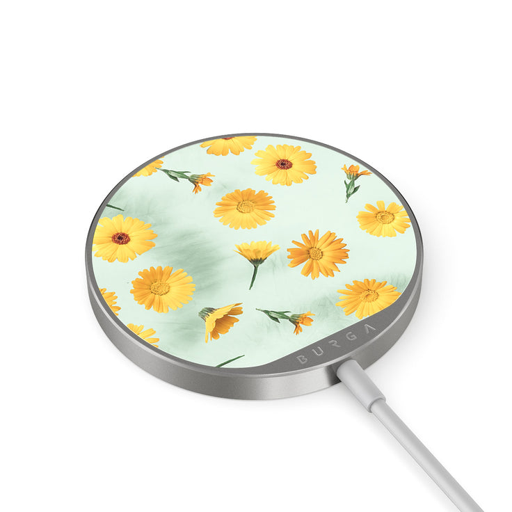 RL_02MC_MAGNETIC_WRLS_CHRG-SILVER