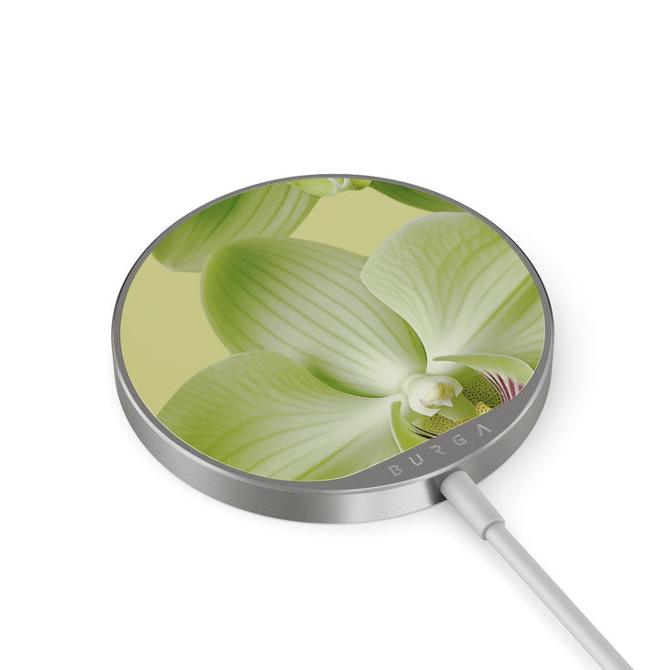 SO_01MC_MAGNETIC_WRLS_CHRG-SILVER