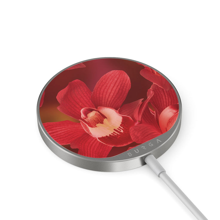 SO_09MC_MAGNETIC_WRLS_CHRG-SILVER