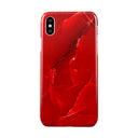 Wild Blaze - Red iPhone X / XS Case 1